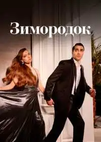 Постер сериала Зимородок